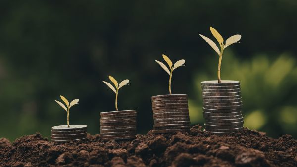 Pilhas de moedas sobre terra com plantas no topo de cada uma fazendo alusão as commodities agrícolas